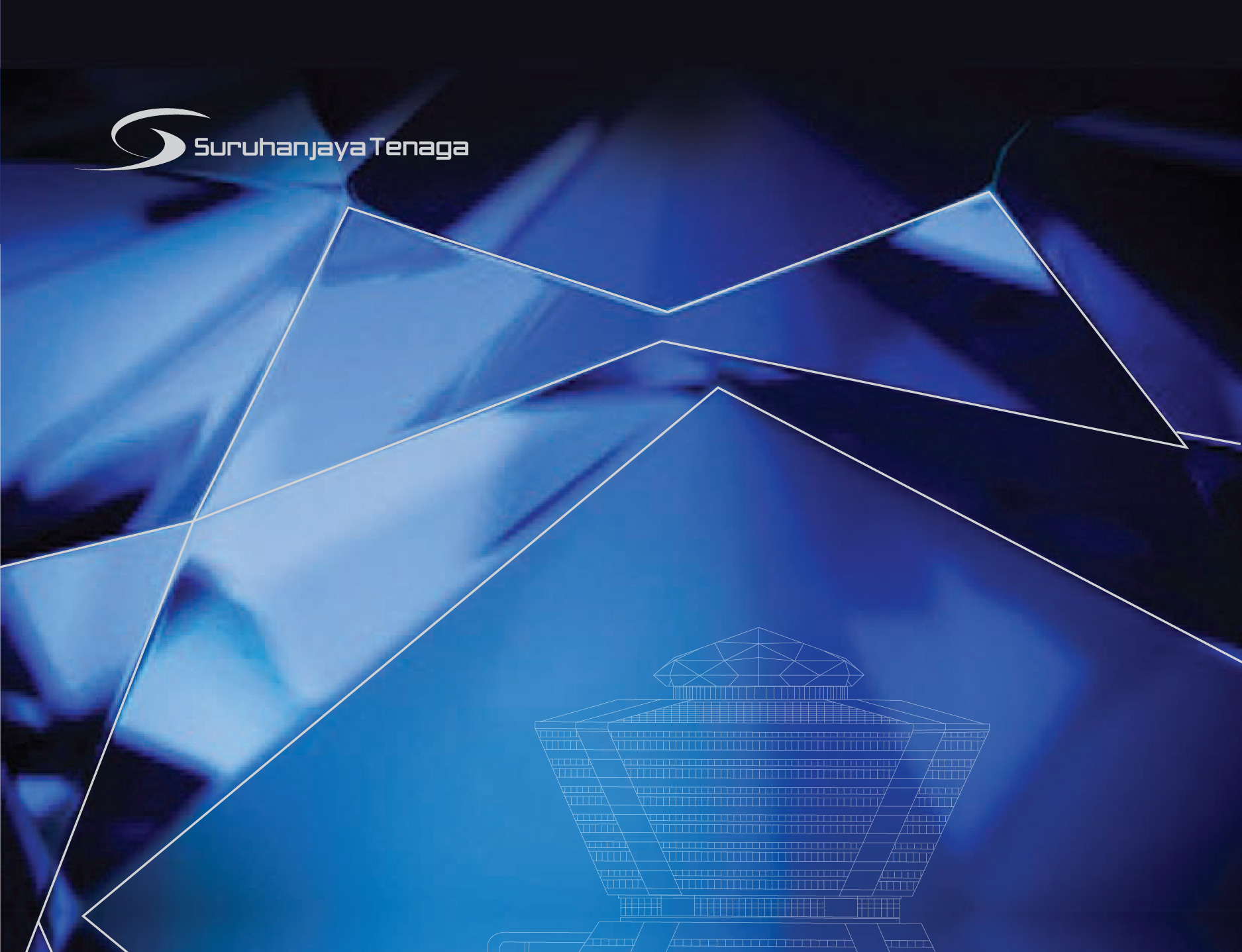 Annual Report 2008