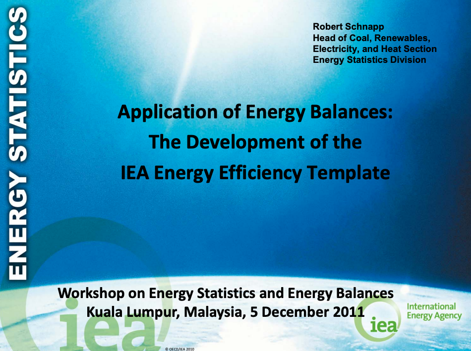 Application of Energy Balances: The Development of the IEA Energy Efficiency Template