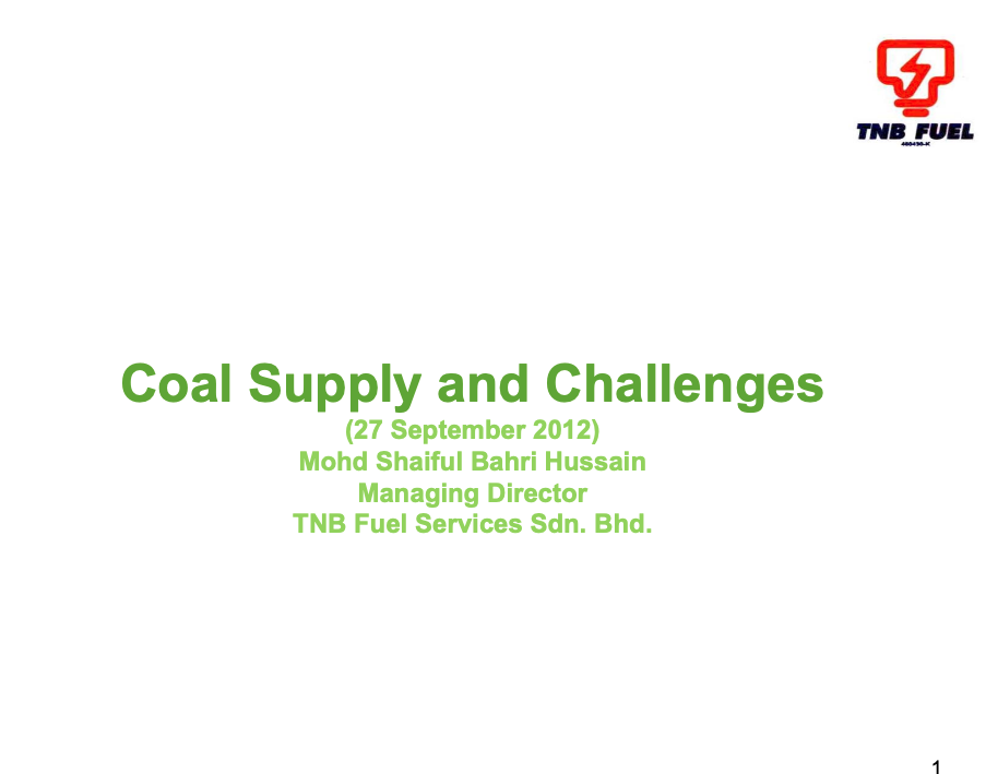 Ensuring Energy Sustainability: Coal Supply and Challenges