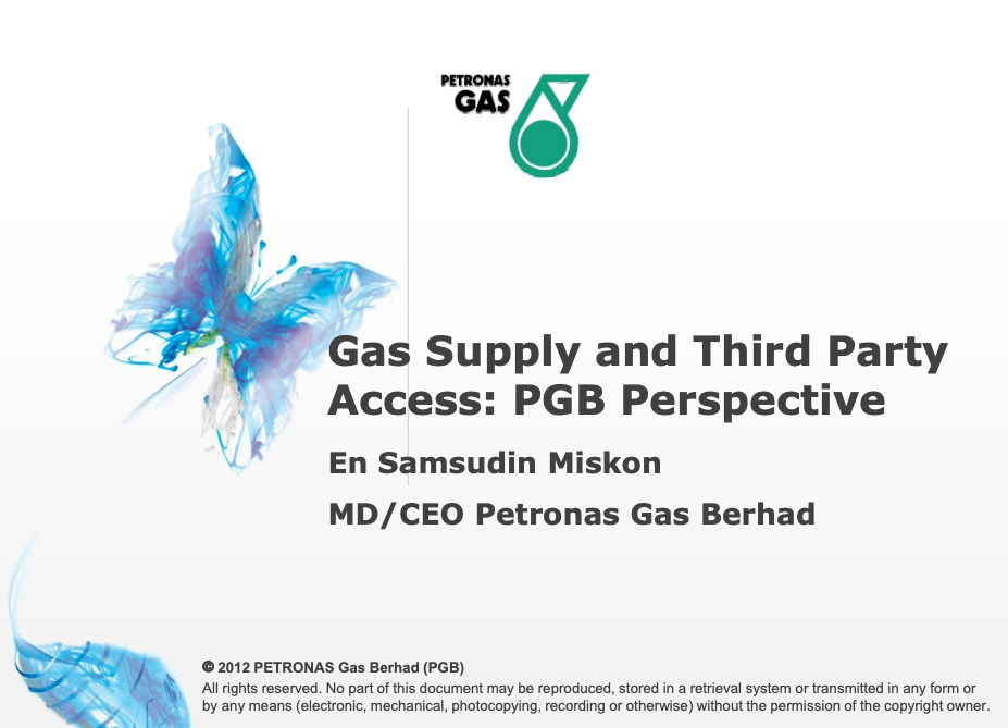 Ensuring Energy Sustainability: Gas Supply and Third Party Access (TPA)