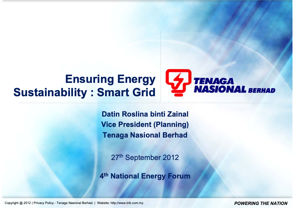 Ensuring Energy Sustainability: Smart Grid