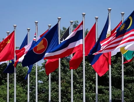 International Collaboration