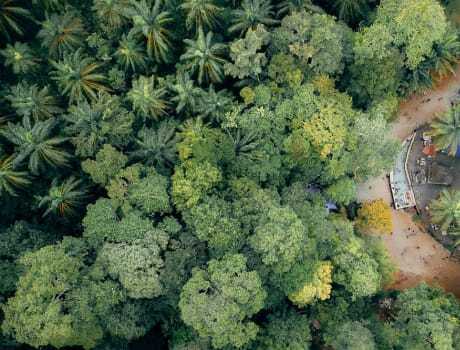 Energy Transition Programmes