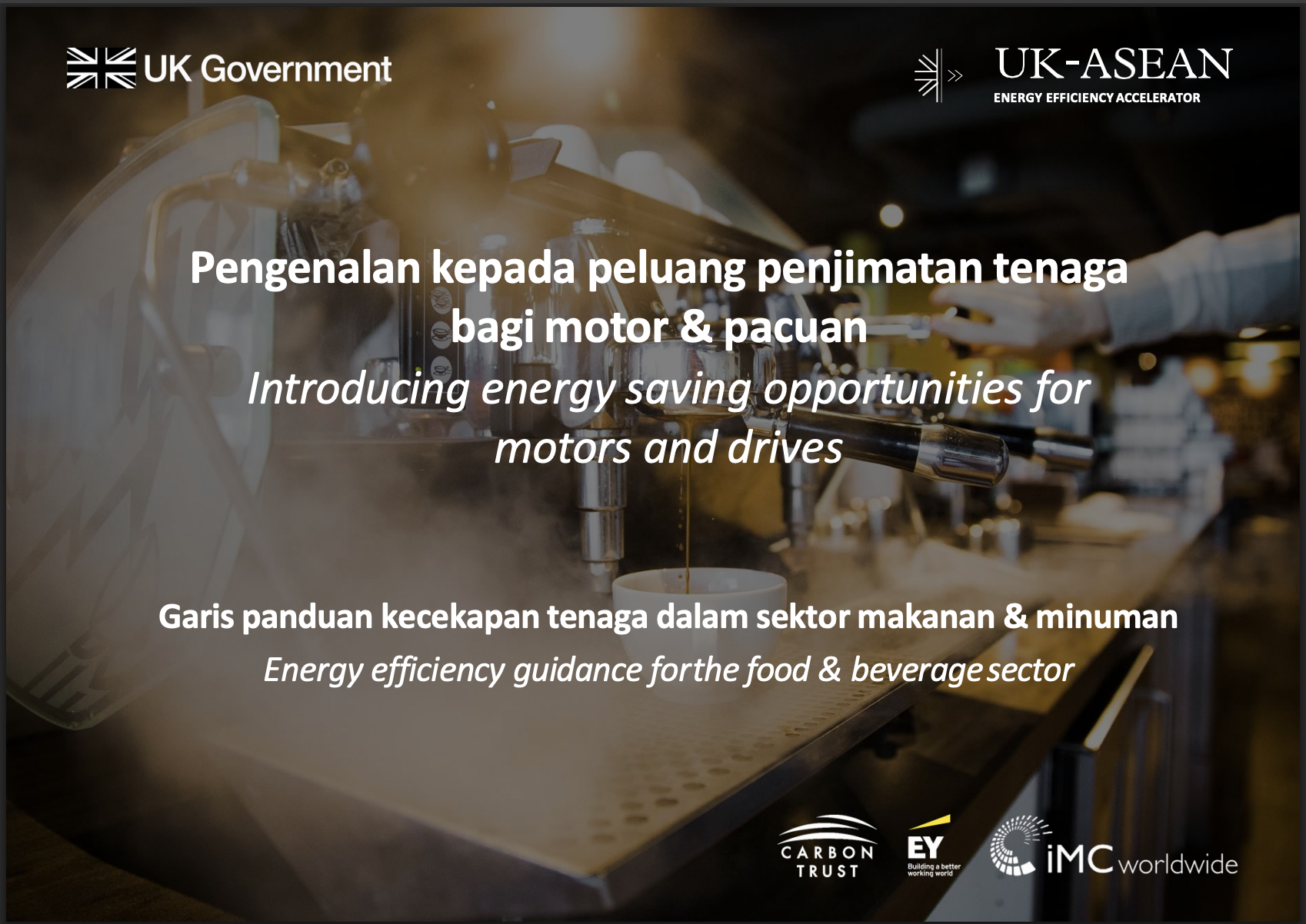 Energy Efficiency Guidance - Motors & Drives