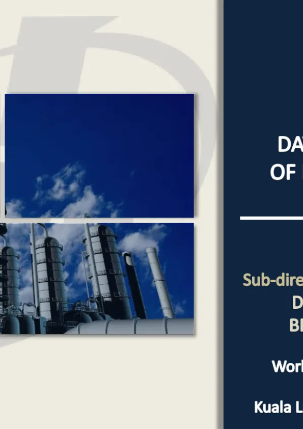 05-Data-Quality-Issues-of-Indonesia-Energy-Balances.pdf