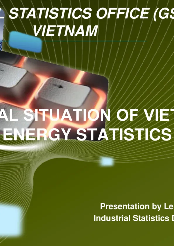 15-The-Real-Situation-of-Vietnams-Energy-Statistics.pdf