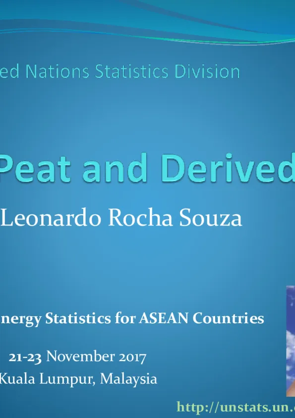 16-UNSD-Coal-Peat-and-Derival-Fuels.pdf