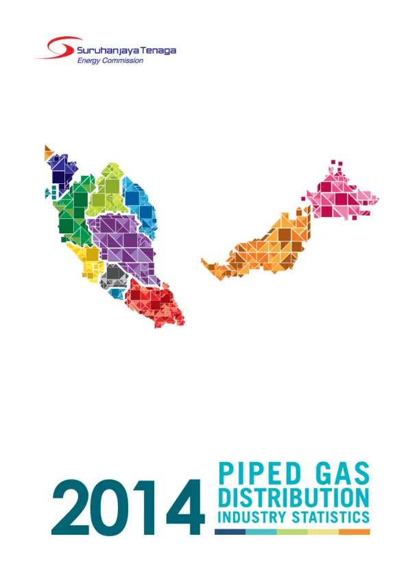2014-Piped-Gas-Distribution-Industry-Statistics.pdf
