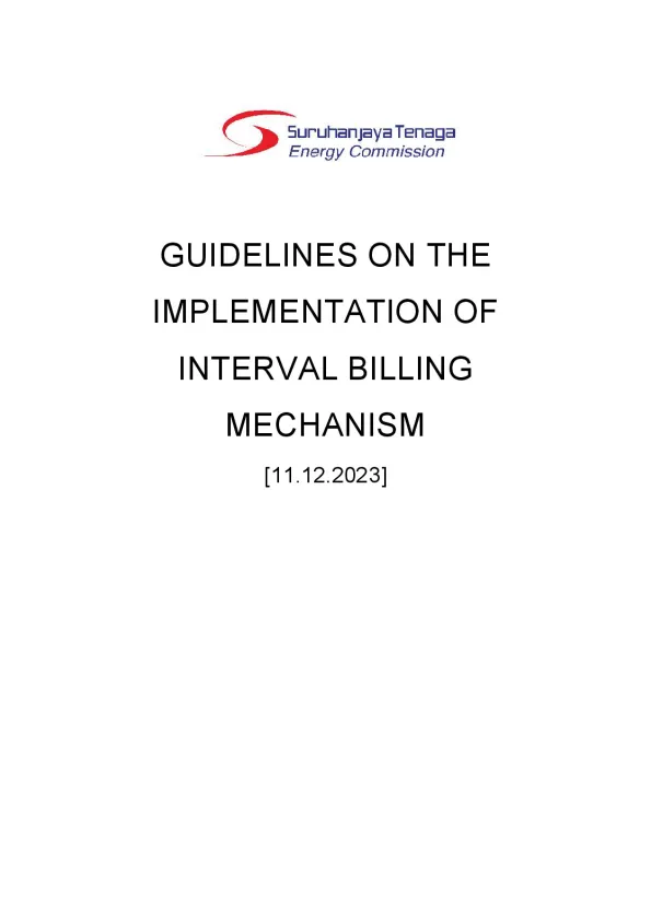 Guideline_IBM_(final).pdf