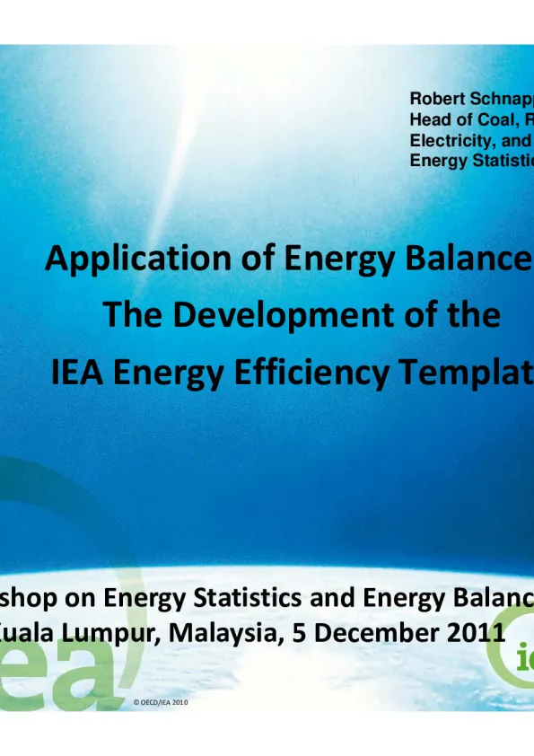 application-of-energy-balances-the-development-of-the-iea-energy-efficiency-template.pdf