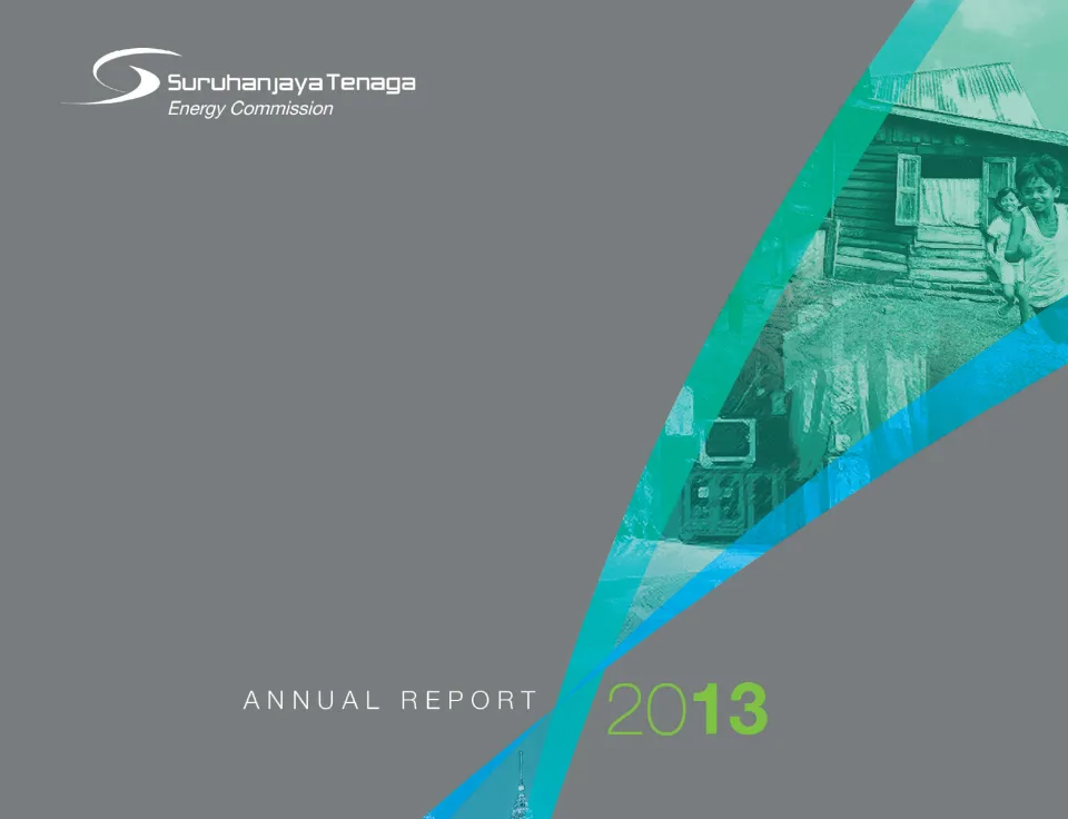 Annual Report 2013