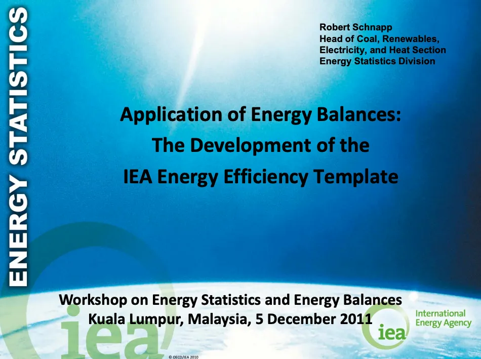Application of Energy Balances: The Development of the IEA Energy Efficiency Template
