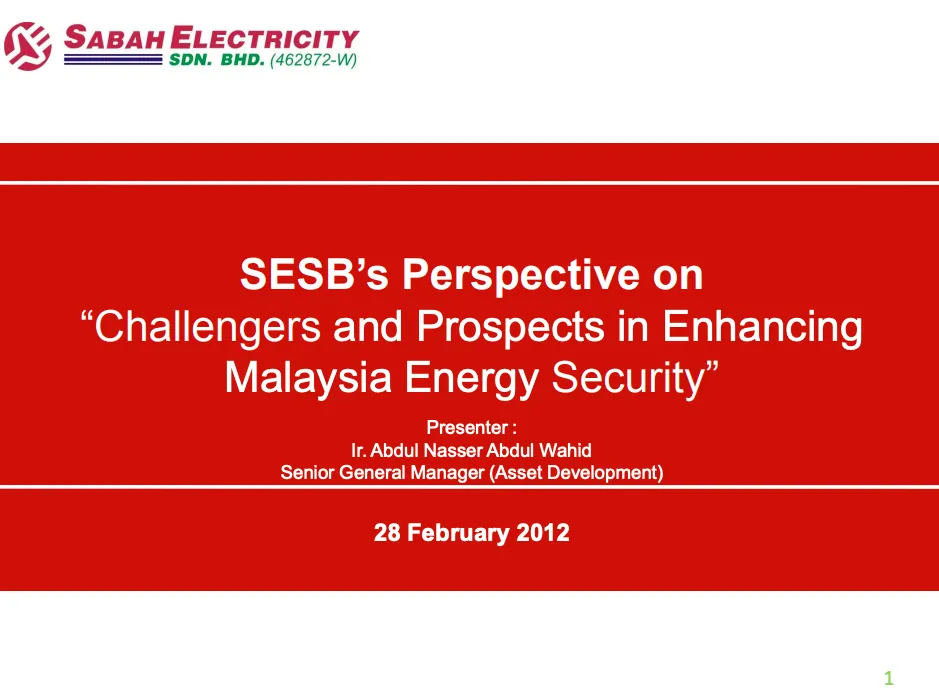 SESB: SESB's Perspectives